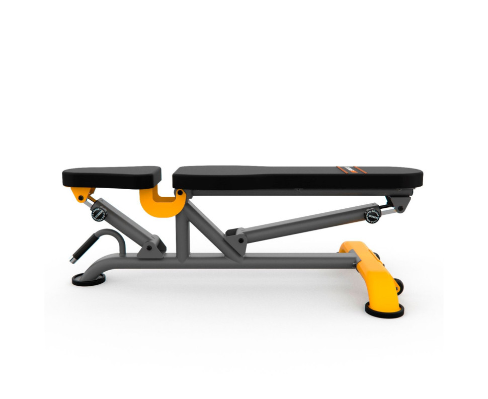 Скамья универсальная STONERISE DS01