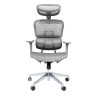 EXPERT ERGO SAIL-LB H02W 5D серое