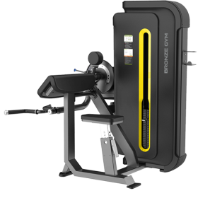 BRONZE GYM BW-3087 Бицепс/Трицепс сидя
