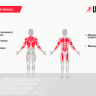 Турник настенный 3 в 1 UNIX Fit PULL UP 200