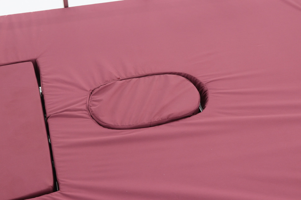 Медицинская кровать для лежачих больных электрическая YG-3 ЛДСП Венге с боковым переворач., с матрасом