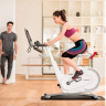 Велотренажер YESOUL Smart Spinning bike V1 PLUSE белый