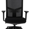Эргономичное кресло Everprof Fuji Сетка Черный