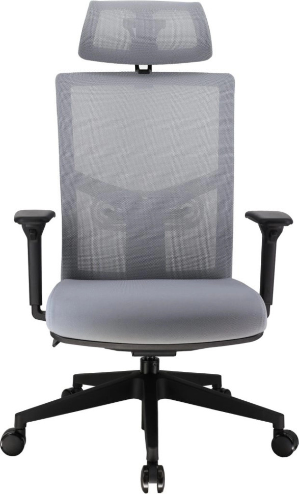 Эргономичное кресло Everprof Fuji Сетка Серый