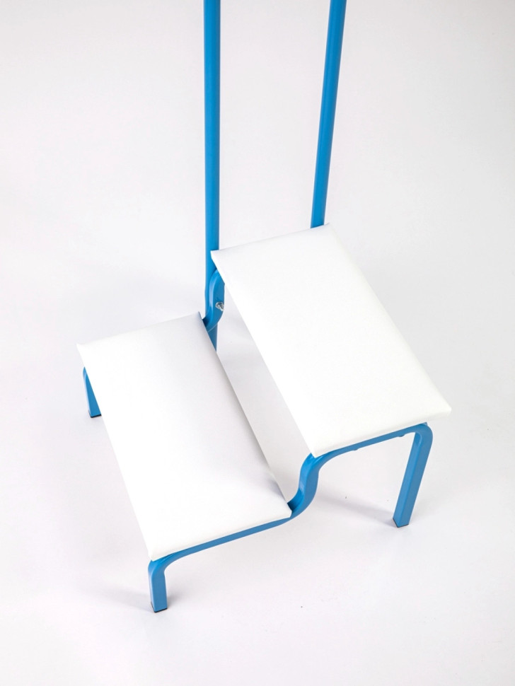 Ступени СТ-5 Belberg Blue с поручнем для ванной комнаты