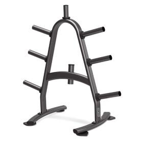 Стойка для дисков BRONZE GYM BR-1022 