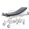 Каталка больничная Med-Mos ММ-НТ-3М1