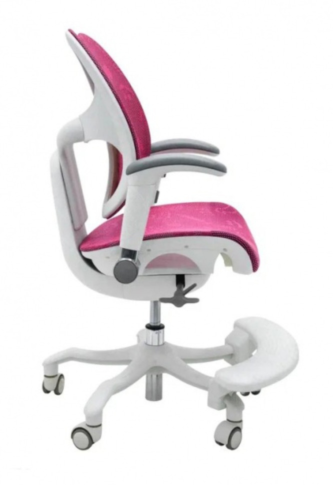 Кресло EXPERT ORTO (спинка DUO, слайдер, подлокотник 3D) каркас светлый, сетка розовый