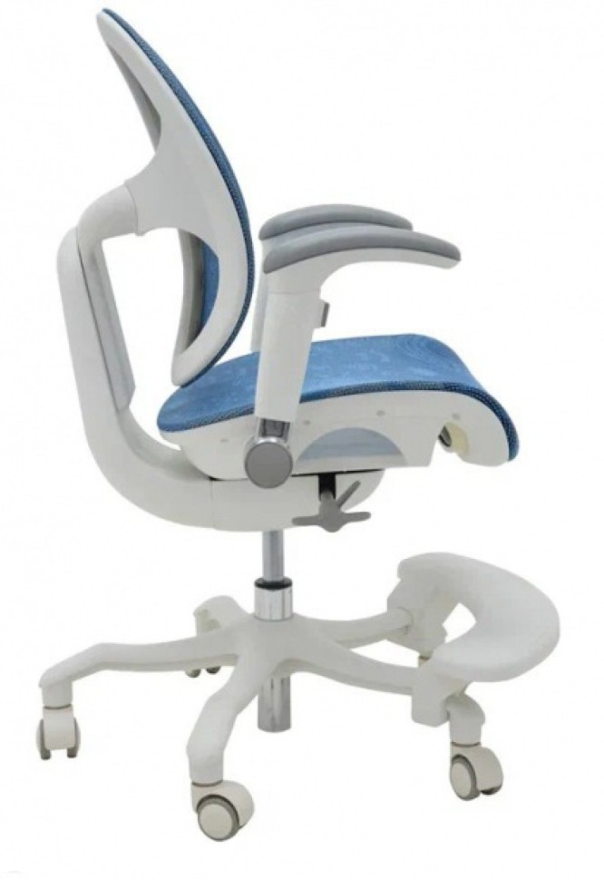 Кресло EXPERT ORTO (спинка DUO, слайдер, подлокотник 3D) каркас светлый, сетка синий