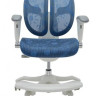 Кресло EXPERT ORTO (спинка DUO, слайдер, подлокотник 3D) каркас светлый, сетка синий