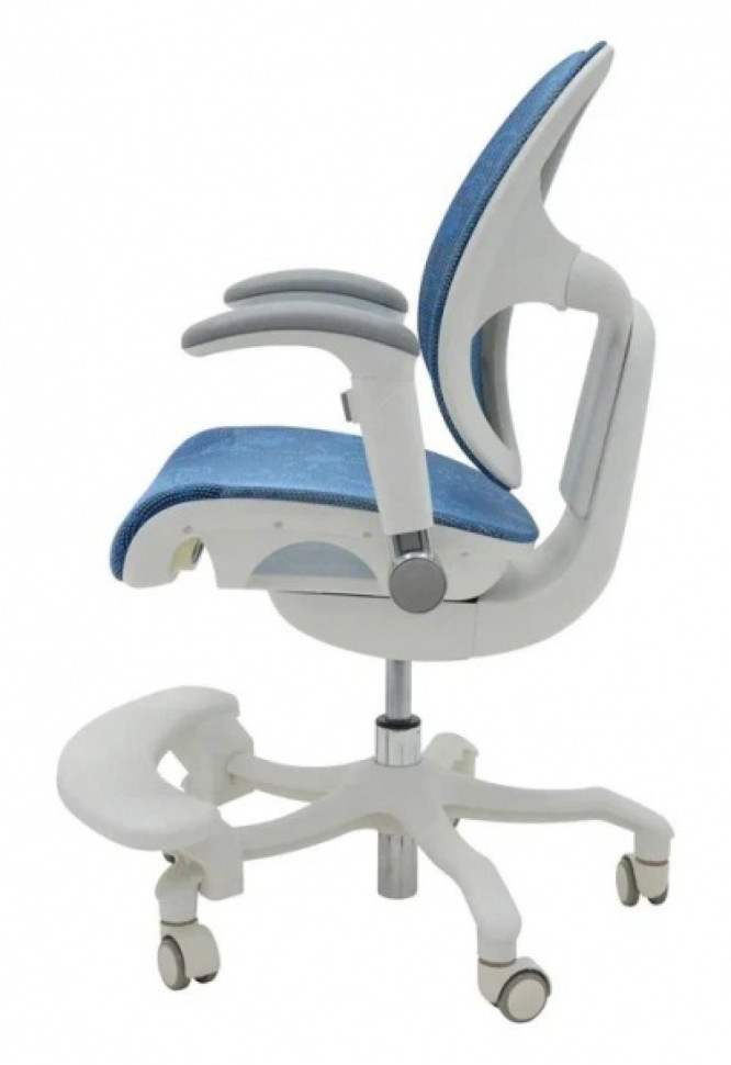 Кресло EXPERT ORTO (спинка DUO, слайдер, подлокотник 3D) каркас светлый, сетка синий
