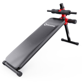 Скамья для пресса регулируемая DFC WRK-1008 / до 120 кг